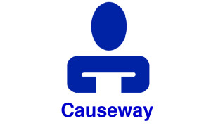 Causeway Work